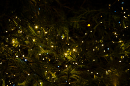 Happy Holidays