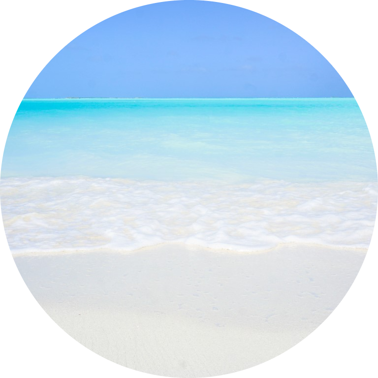 Go to the profile of Vincent Basil