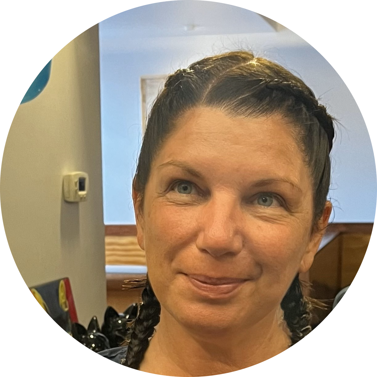 Go to the profile of Ann Vitouladitis