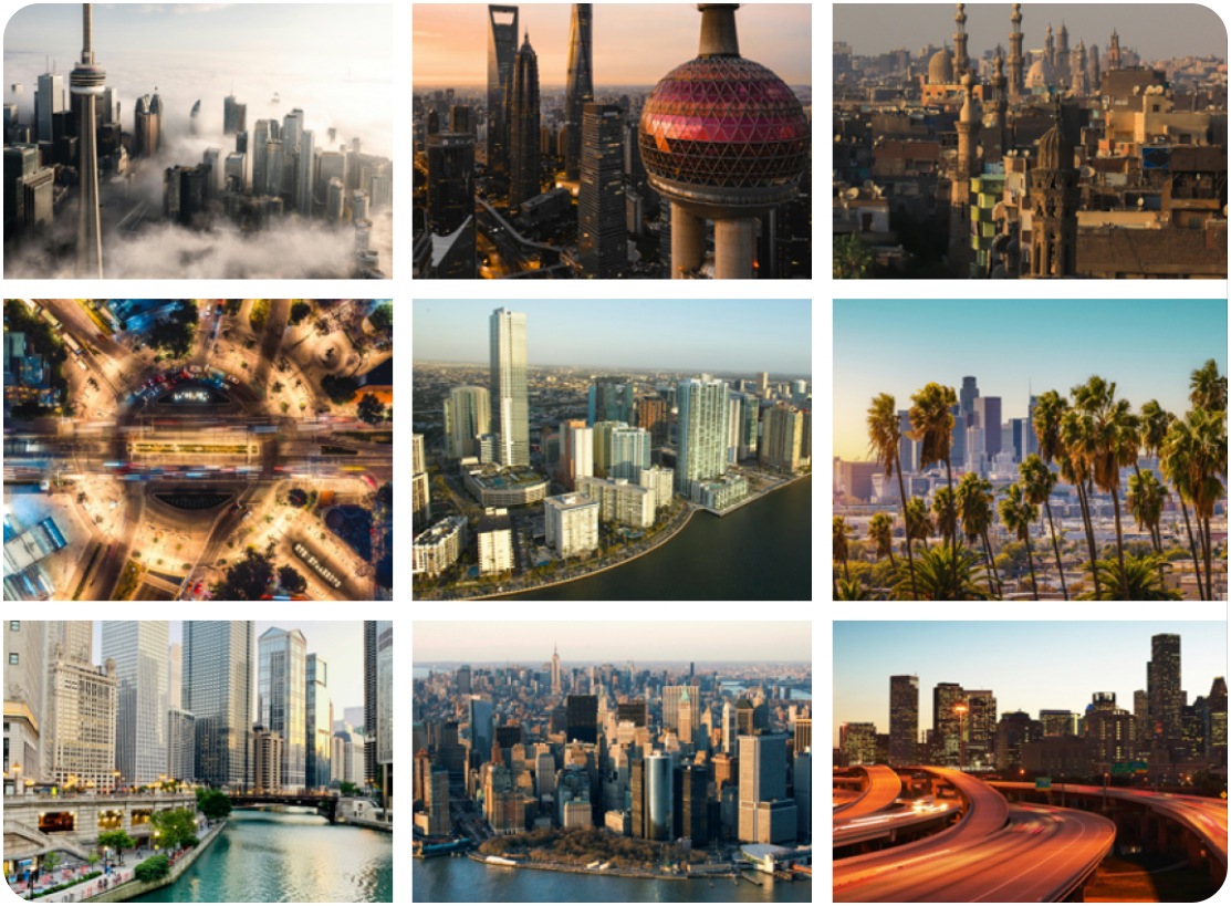 Managing Facilities in the World's Mega-Cities