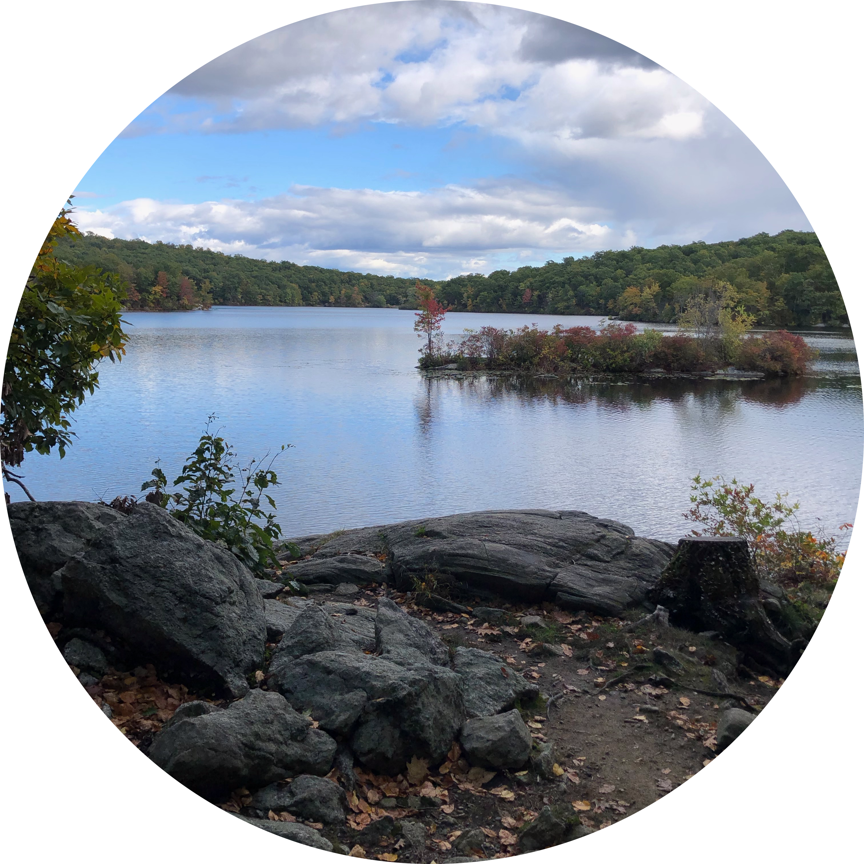 Go to the profile of Erin Farley