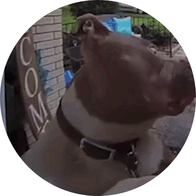 Go to the profile of Cole Julian