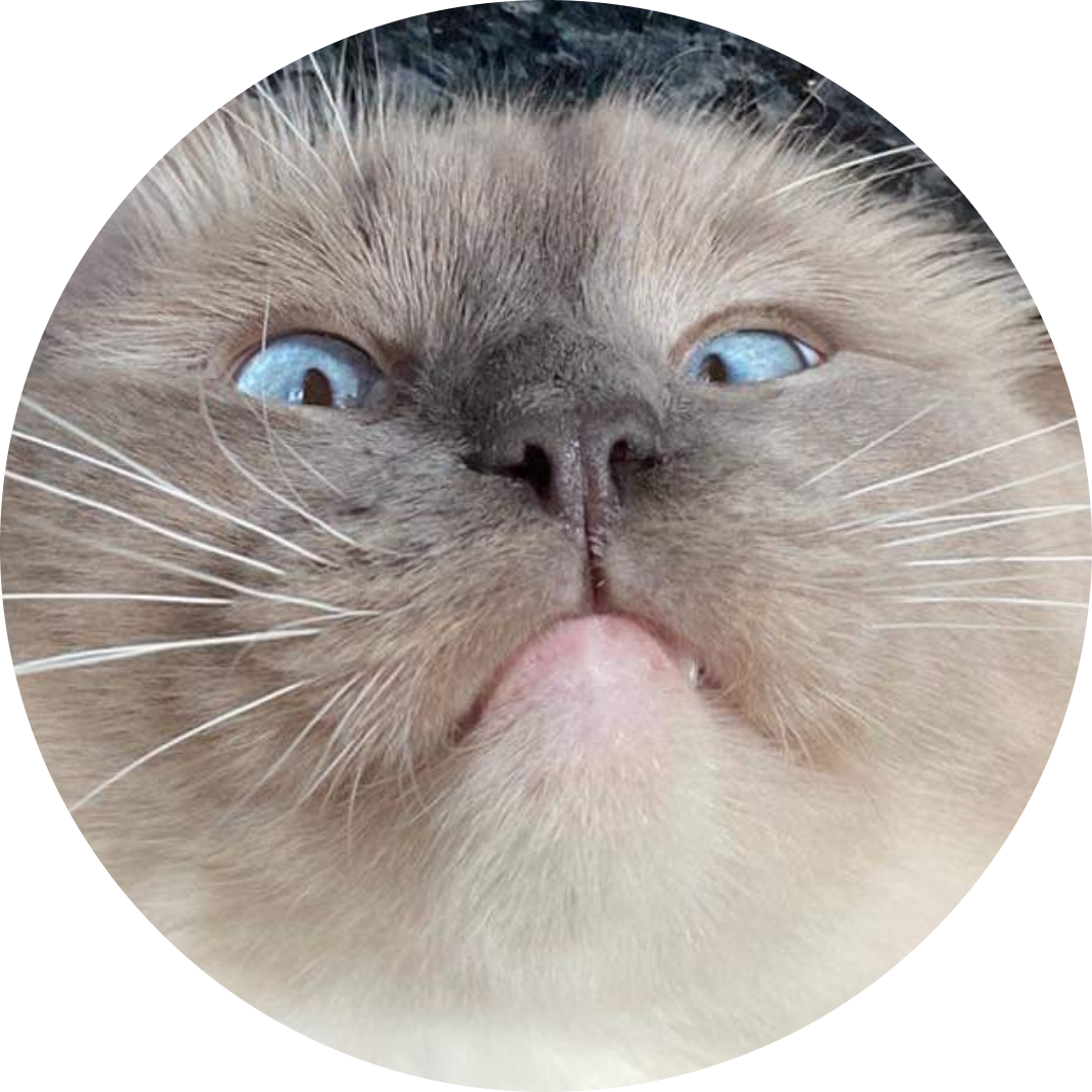 Go to the profile of Oliver Mills