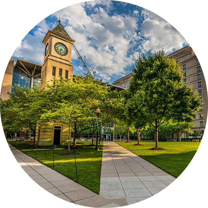 Go to the profile of Algernon Crawley JR