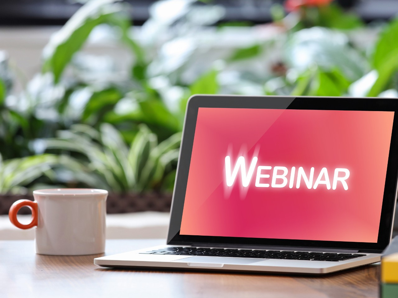 AV Insights: Protecting the Public