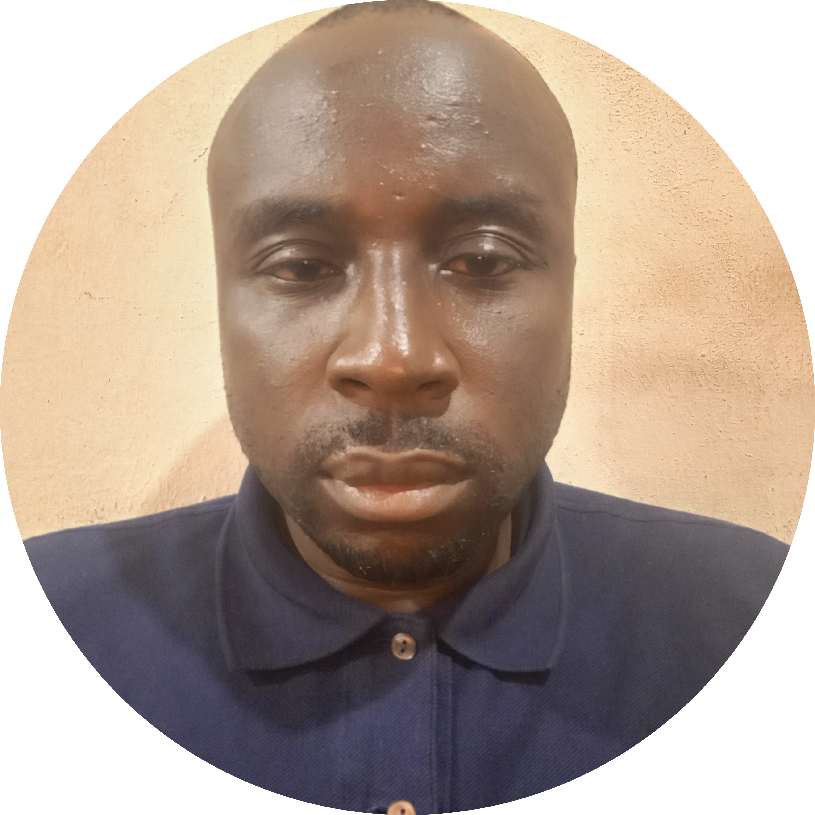 Go to the profile of Olusegun abayomi