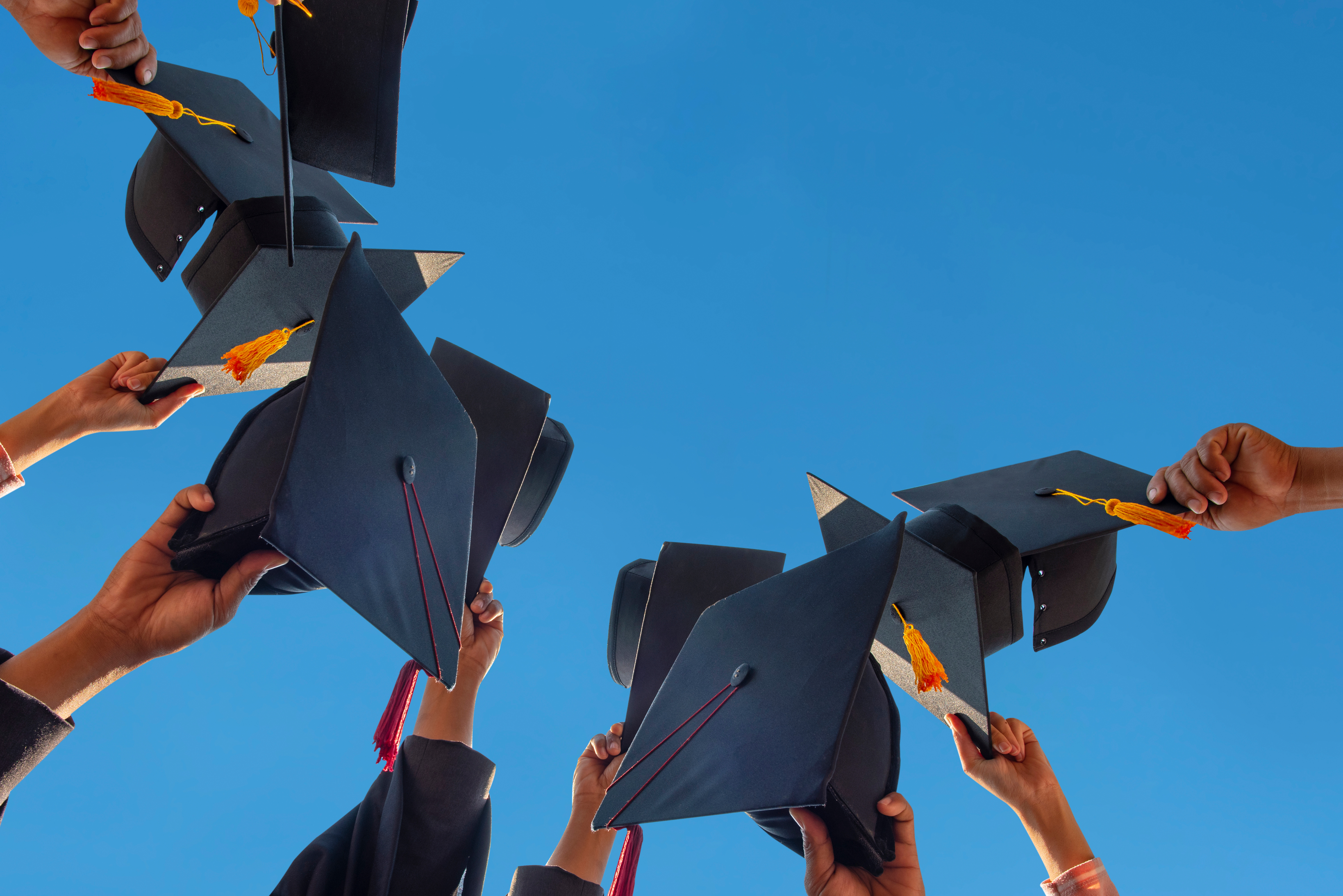 Bolsas de estudos para estudantes AV