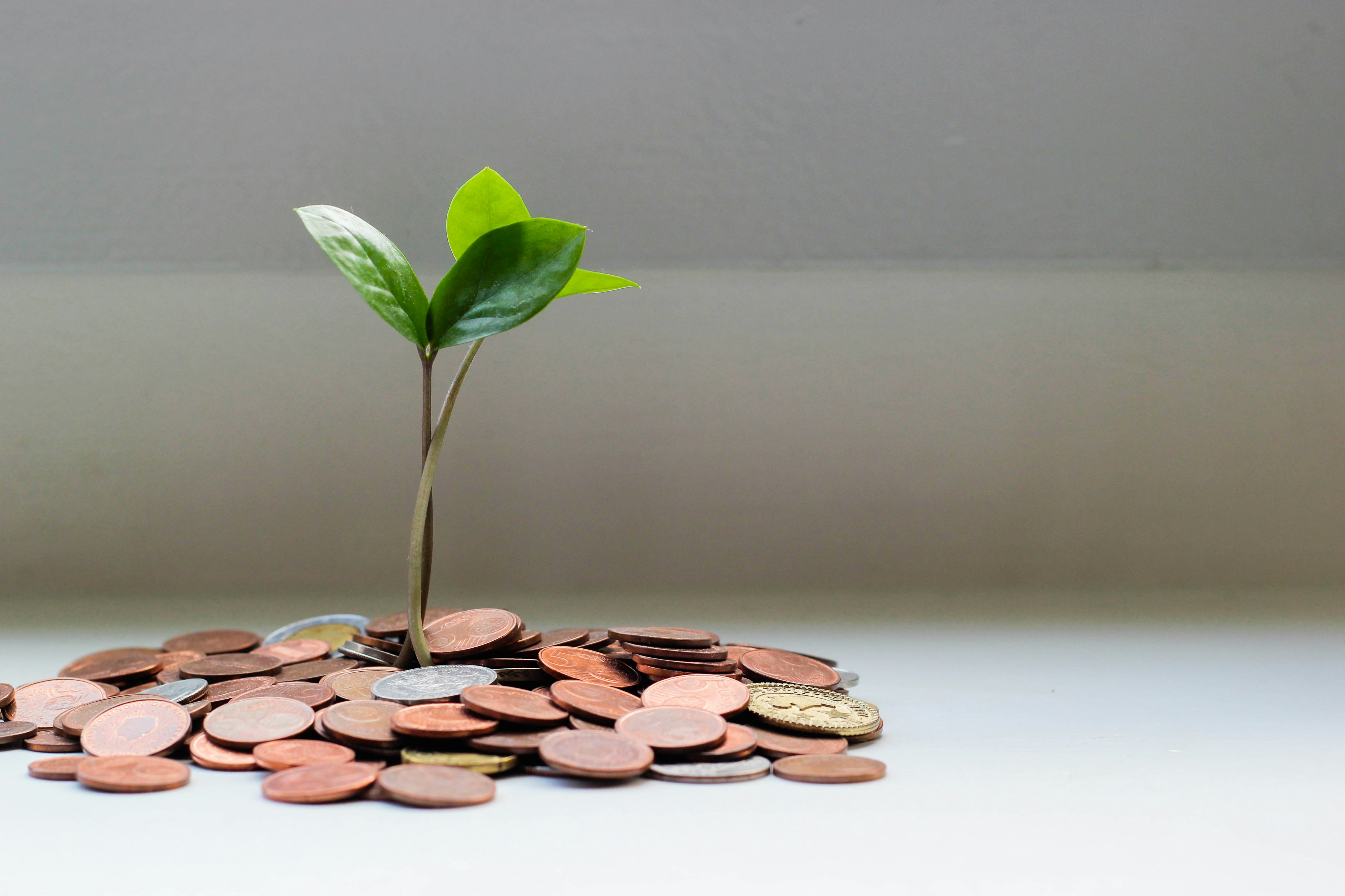 Top 5 Lessons from Growth Hacker Marketing