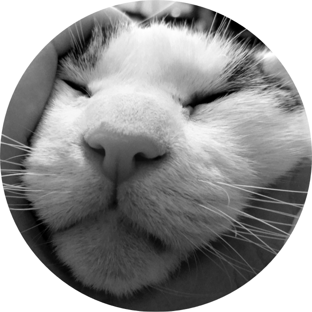 Go to the profile of Aaron Hamai