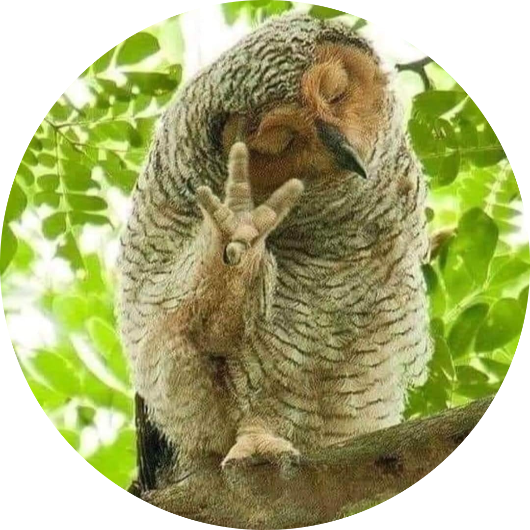 Go to the profile of chris Gage