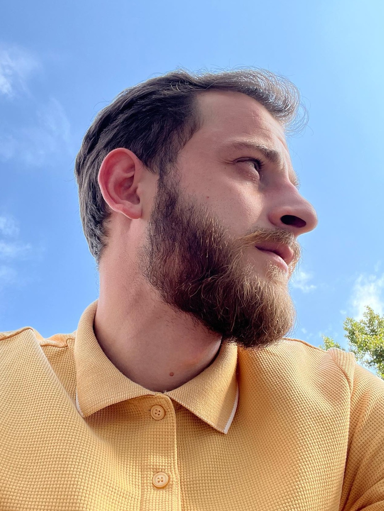 Go to the profile of Aleksandre Lomidze