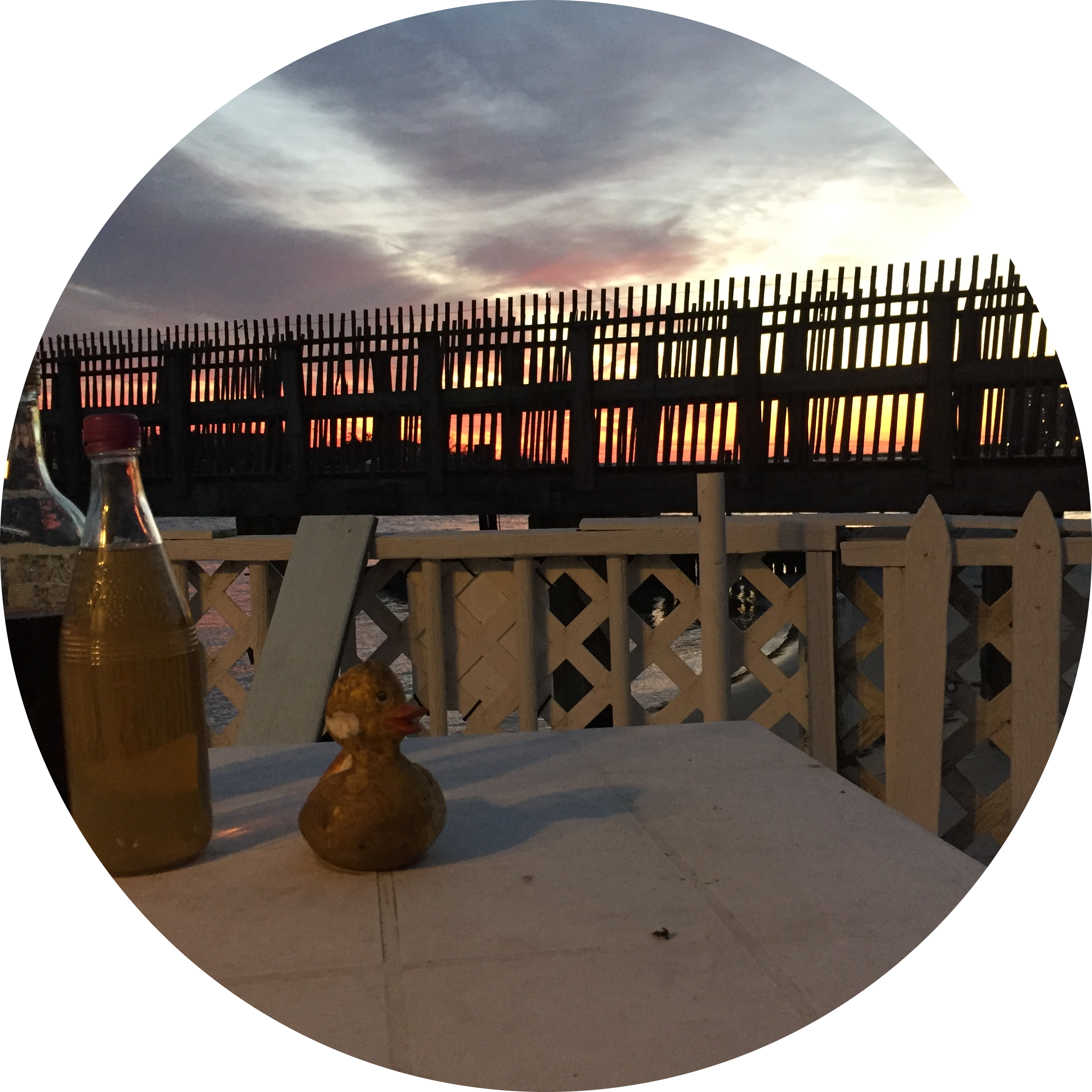 Go to the profile of joe foley