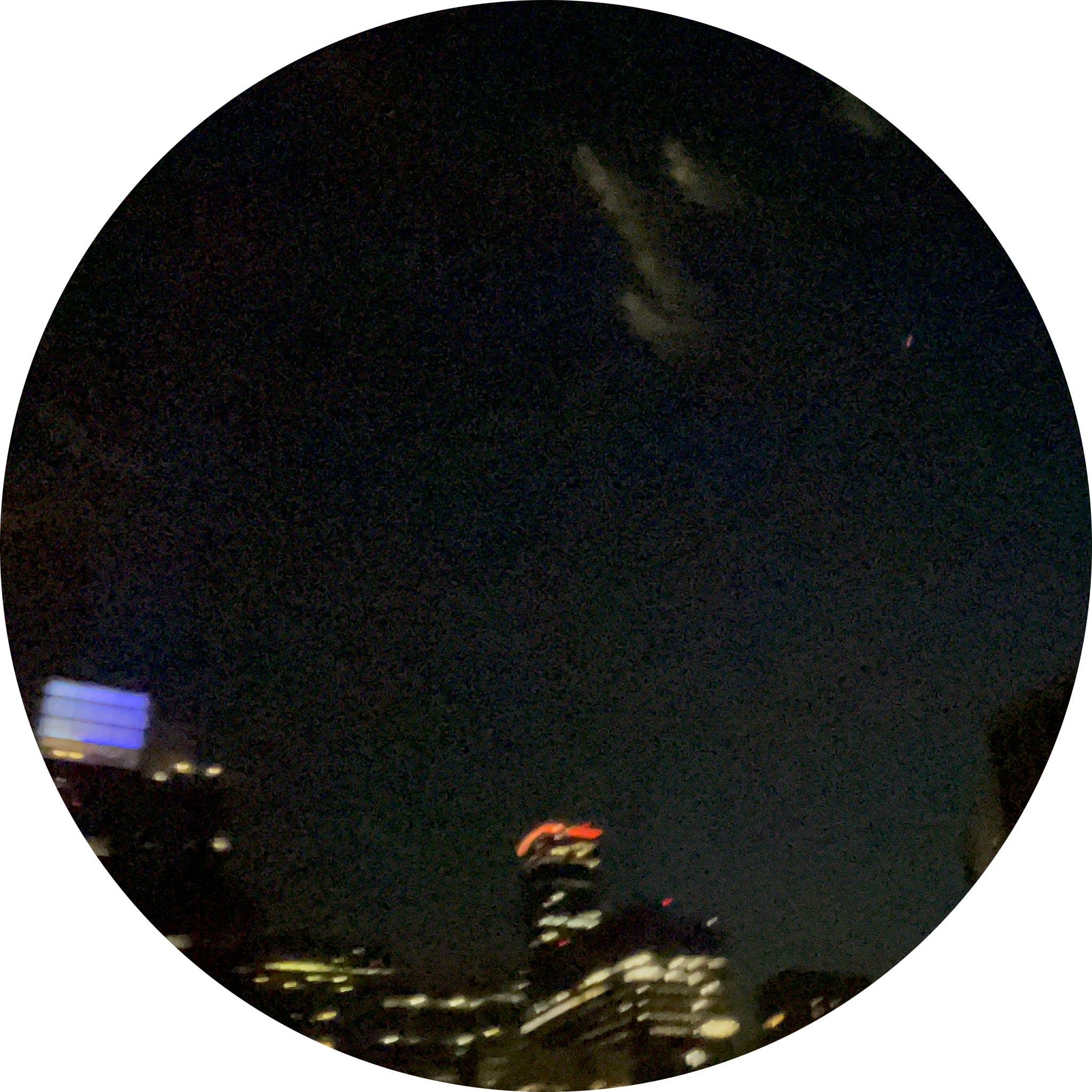 Go to the profile of Ace Wilson