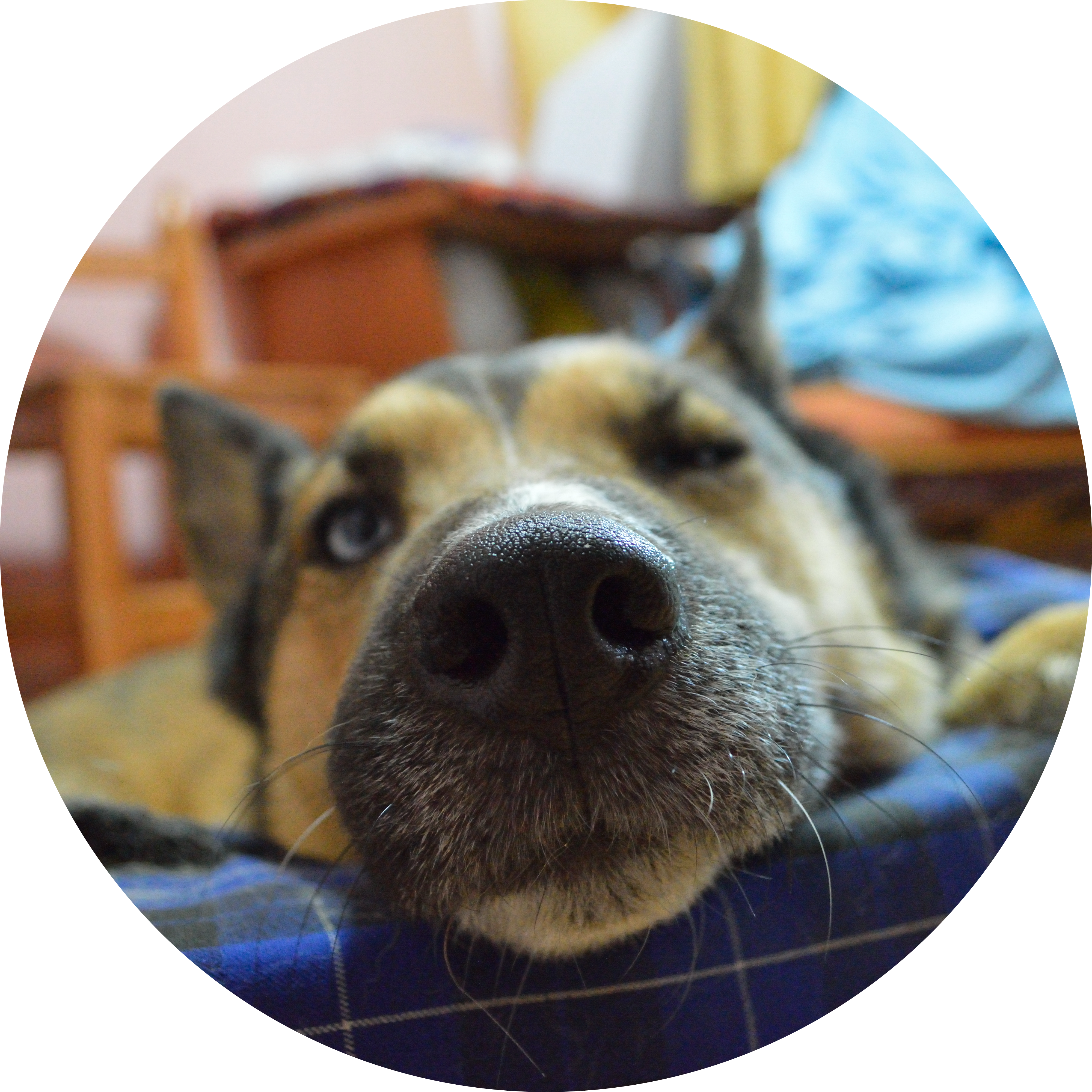 Go to the profile of Santiago Abelleira CTS-D, CTS-I, ANP