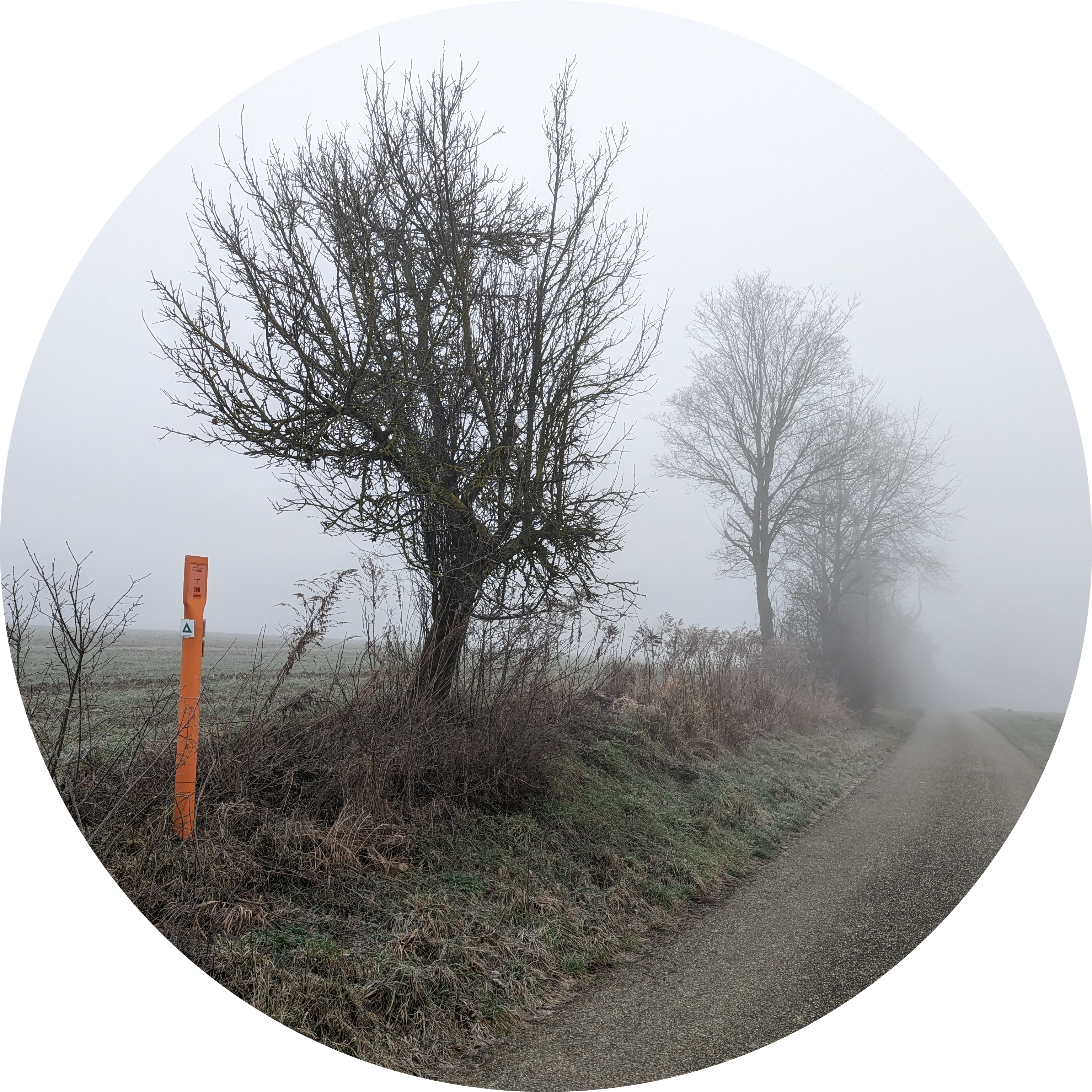 Go to the profile of Daniel Zimmermann