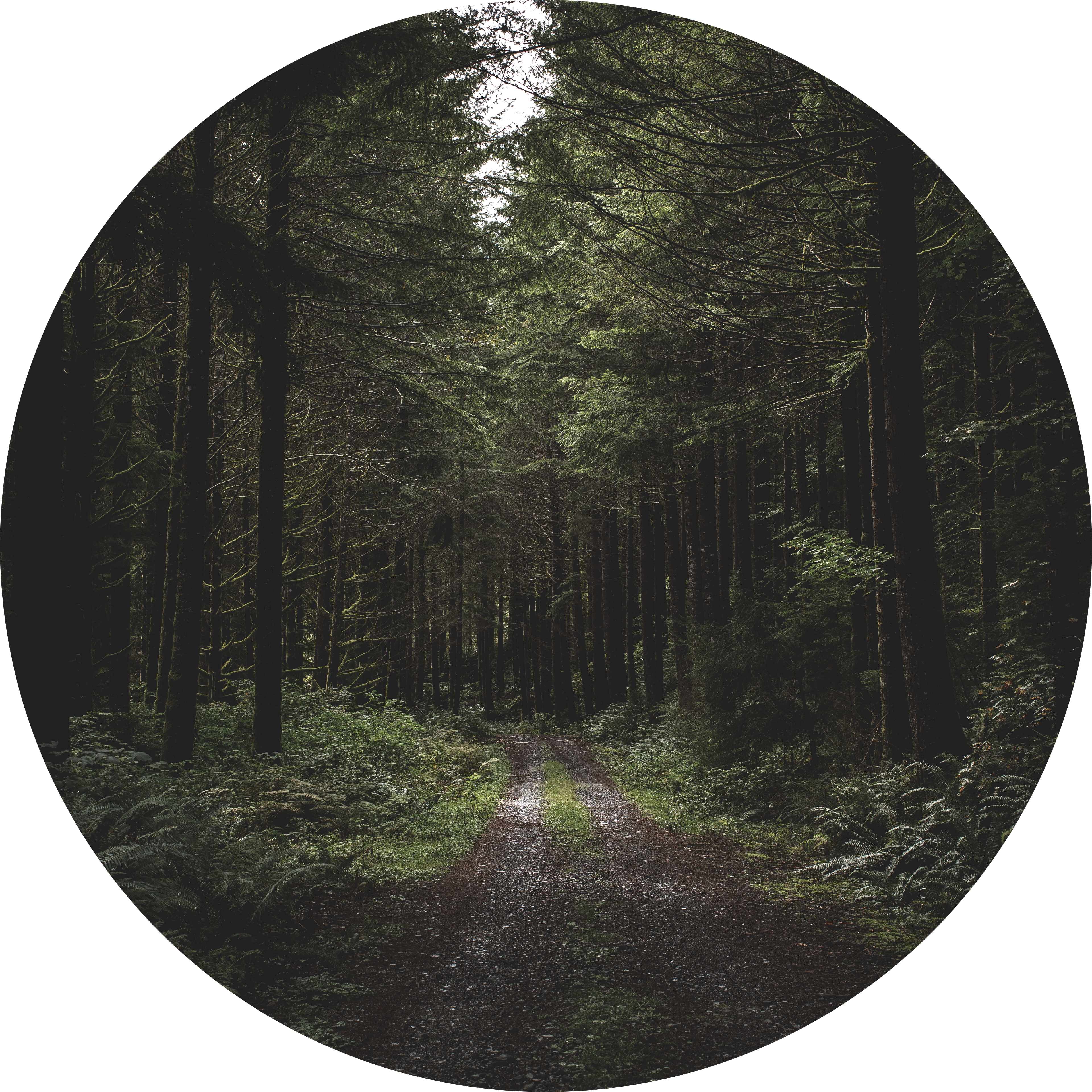 Go to the profile of Michaela van Beinum