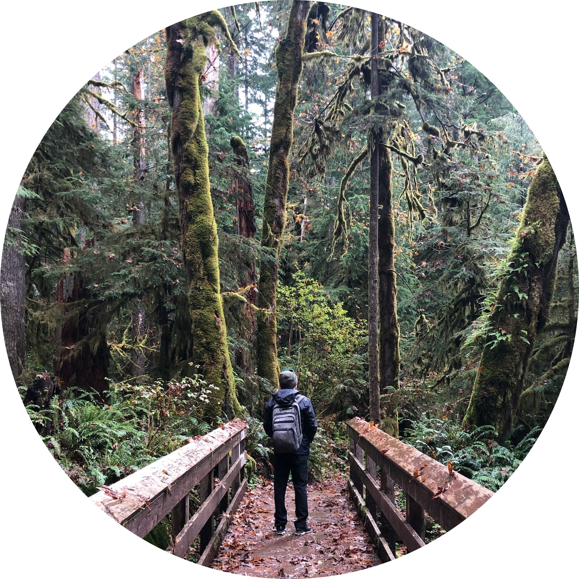 Go to the profile of Alex Wolf